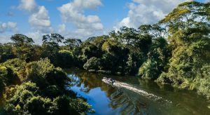 วงแหวนคาร์บอนไดออกไซด์ นวัตกรรมทำความเข้าใจป่าแอมะซอน จำลอง Climate Change
