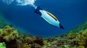 Quadroin โดรนสำรวจใต้น้ำ AI ที่ได้รับแรงบันดาลใจมาจากนกเพนกวิน