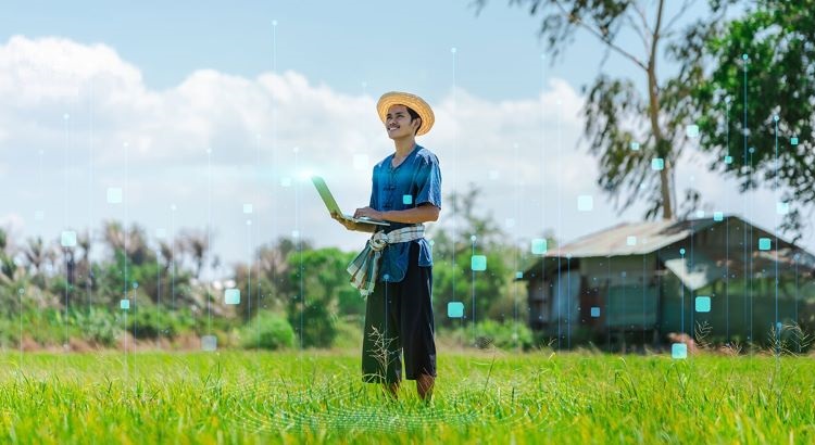 อัปเดต Dragonfly เวอร์ชั่น 2 ตัวช่วยเปลี่ยนผ่านเกษตรกรไทยสู่ “Smart Farmer”